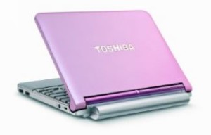 Pink Laptops - Toshiba Mini NB205-N313P
