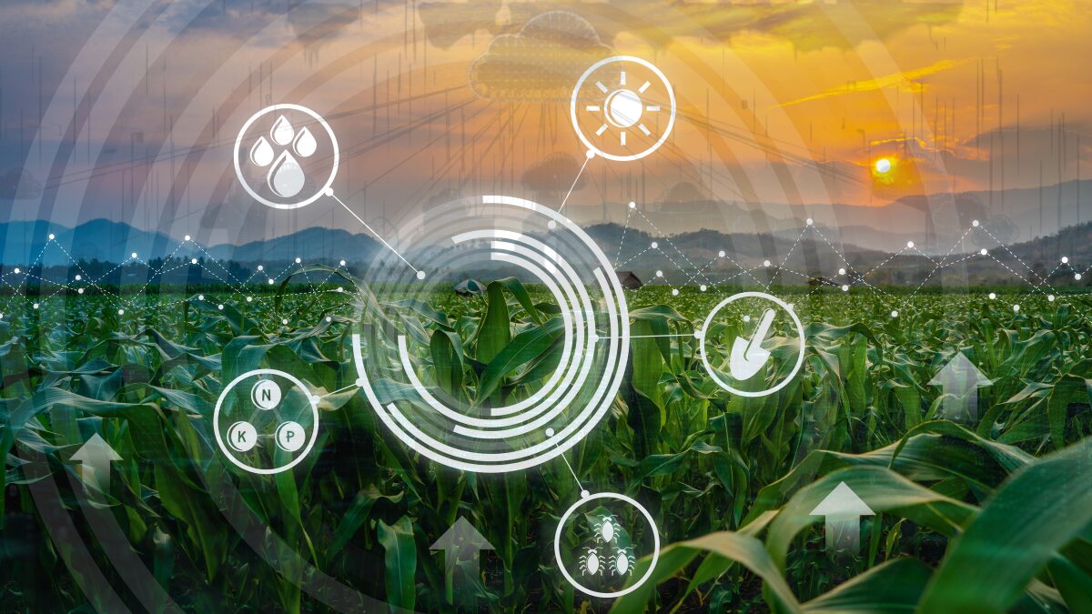 Harnessing AI for Precision Agriculture